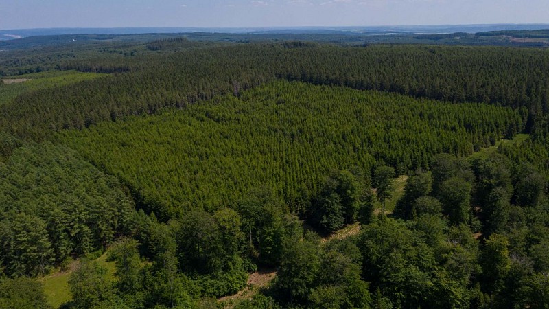 MTFA_NASSOGNE_27052020_033