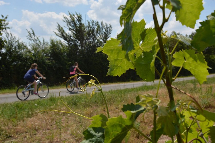 Vélo détente loisirs thouet thouarsais Deux Sèvres Nouvelle Aquitaine (43).JPG_1