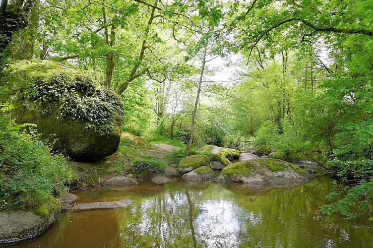 largeasse-jardin-des-chirons