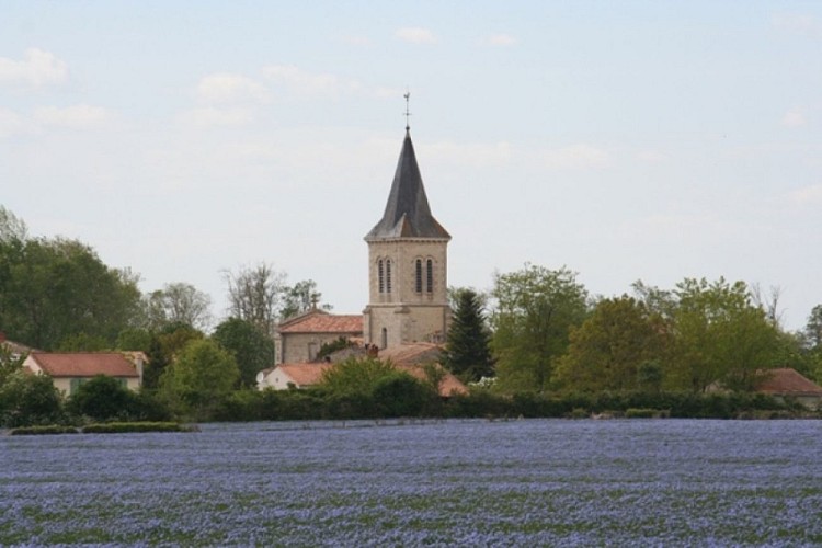 EGLISE--mairie-d-Amure-