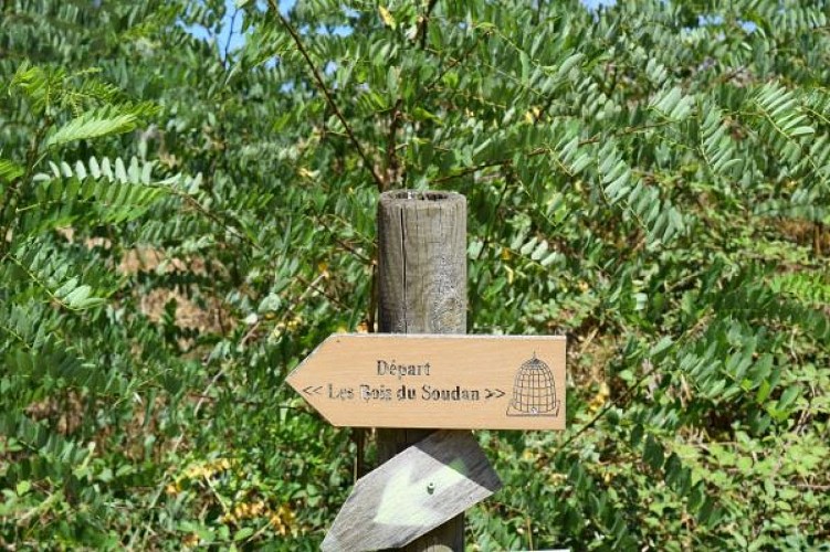 Circuit des bois Soudan (13)
