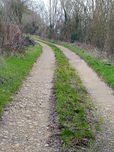 chemin ardin