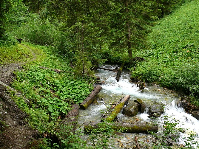 Les Bauches – L’Esselet – Les Esserts. (Boucle)