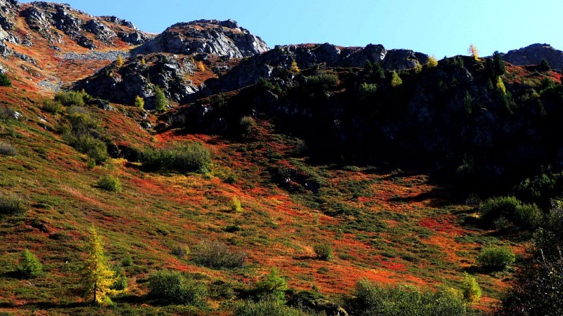 Les Bauches – L’Esselet – Les Esserts. (Boucle)