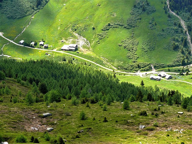 Le thovex - les Bauches - Parmain