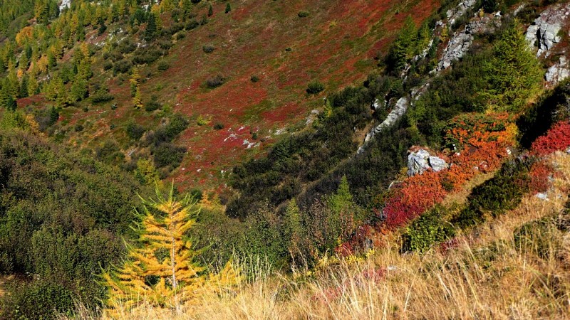 La Tchiaupe - le Lac de Friolin