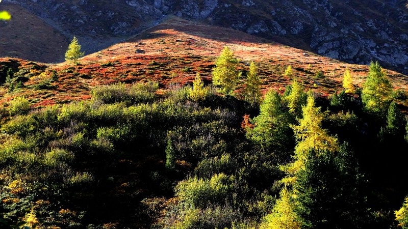 La Tchiaupe - le Lac de Friolin
