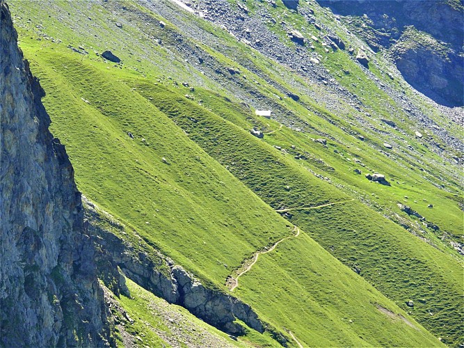 Col de la Chail - Refuge du Mont Pourri. Musée Regaud. (Loop)