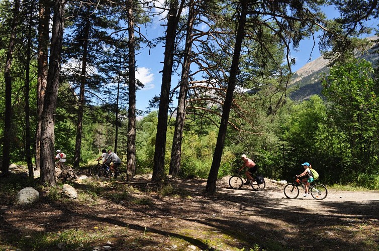 Balade en VTT dans les bois