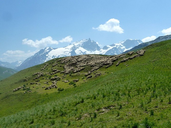 Il giro del Gros Têt da Le Chazelet