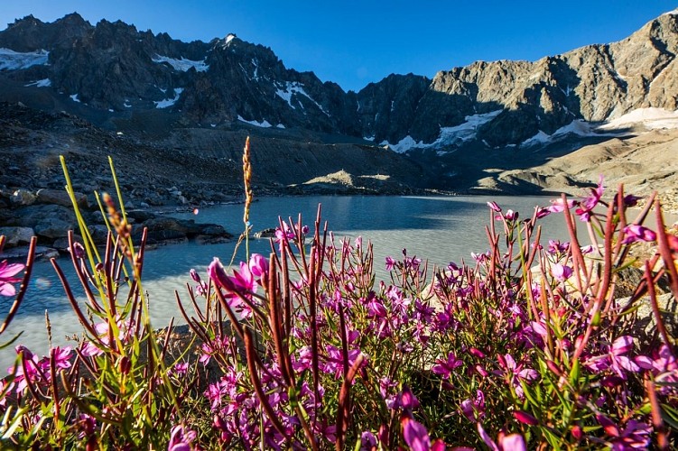 Laghi e passo di Arsine da Arsine