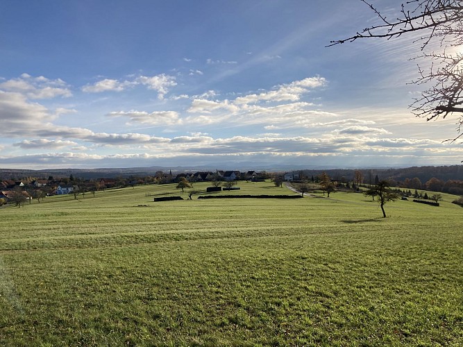 Panorama depuis Eschbourg