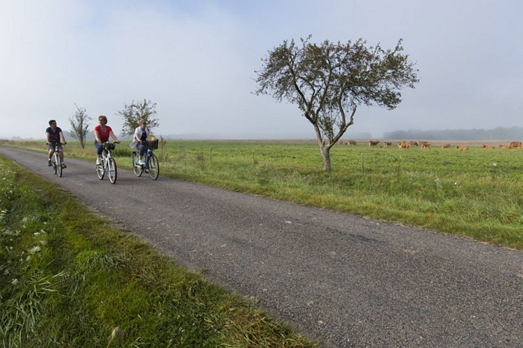 Balade champêtre en queue de Brenne