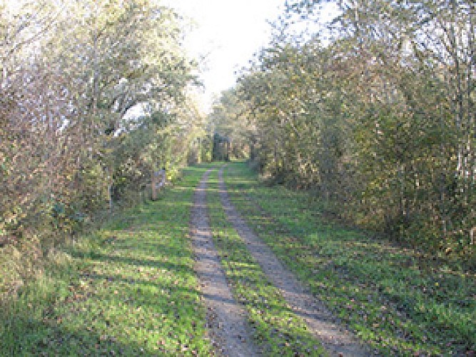 Voie verte en allant sur Argenton