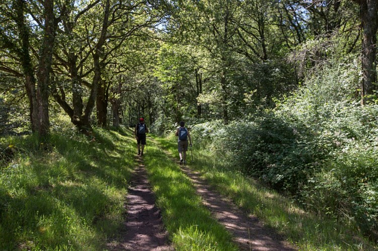 Les mines de fer de Chéniers - Dans les chemins