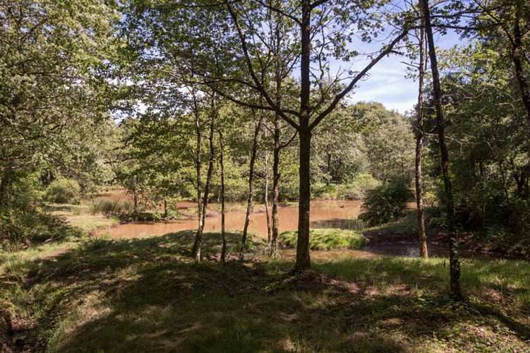Les mines de fer de Chéniers - Ancienne carrière de mine