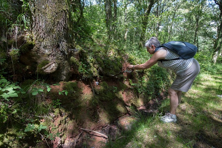 Les mines de fer de Chéniers - Dans les chemins