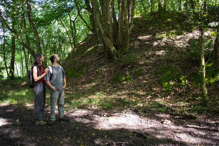 La forêt de Lancosme - En forêt