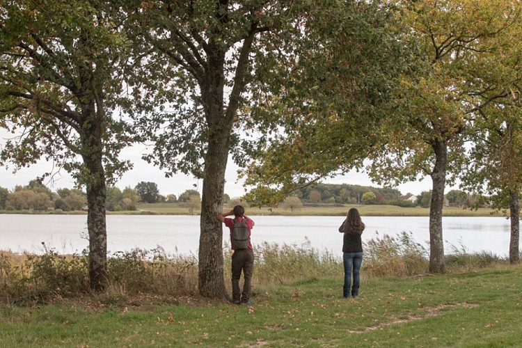 Aux portes de la Brenne - Pause à l'étang Duris