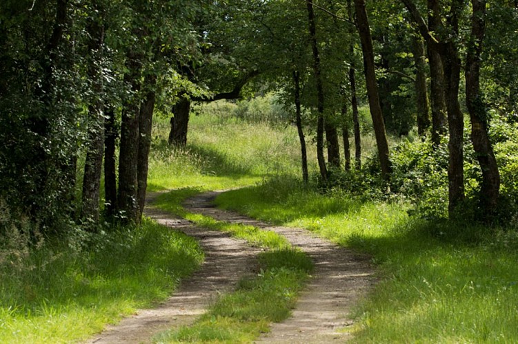 Aux portes de la Brenne - Par les chemins