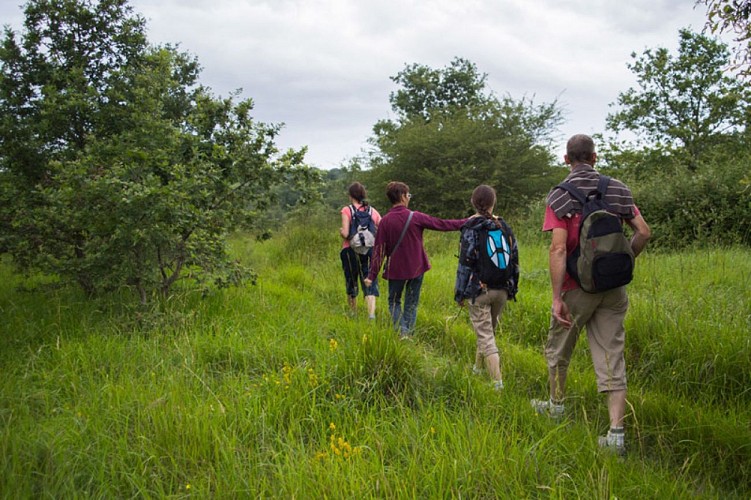 Au pays des pyramides - En chemin