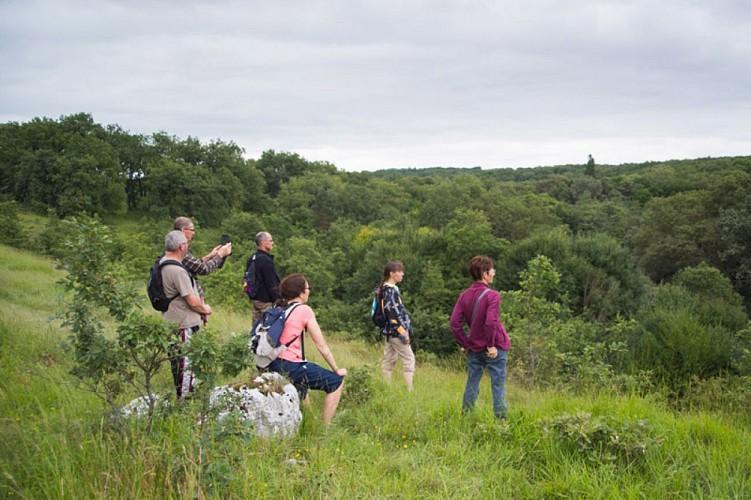 Au pays des pyramides - Contemplation sur les hauteurs