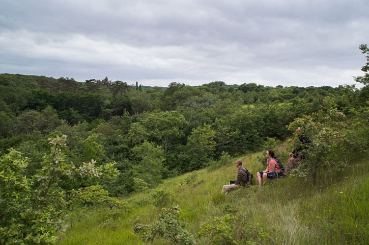 Au pays des pyramides - Contemplation sur les hauteurs