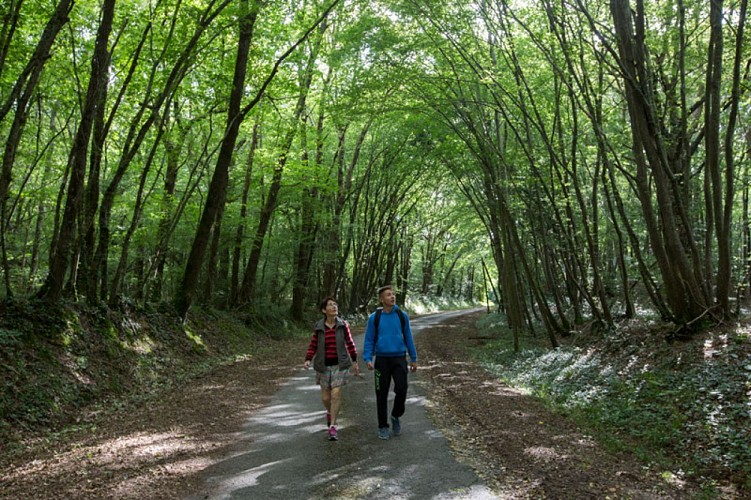 Balade de Saint Victor - Sur les chemins