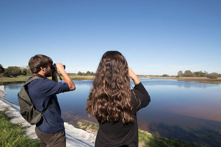 Balade de Saint Victor - Pause à l'étang des Fourdines