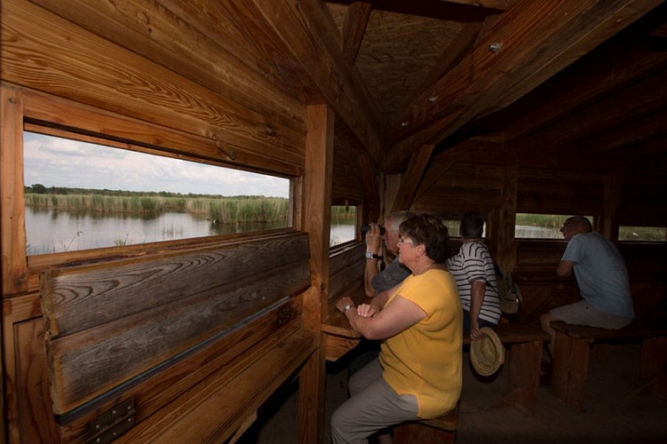 Saint-Cyran en Brenne - Dans l'observatoire de la Sous