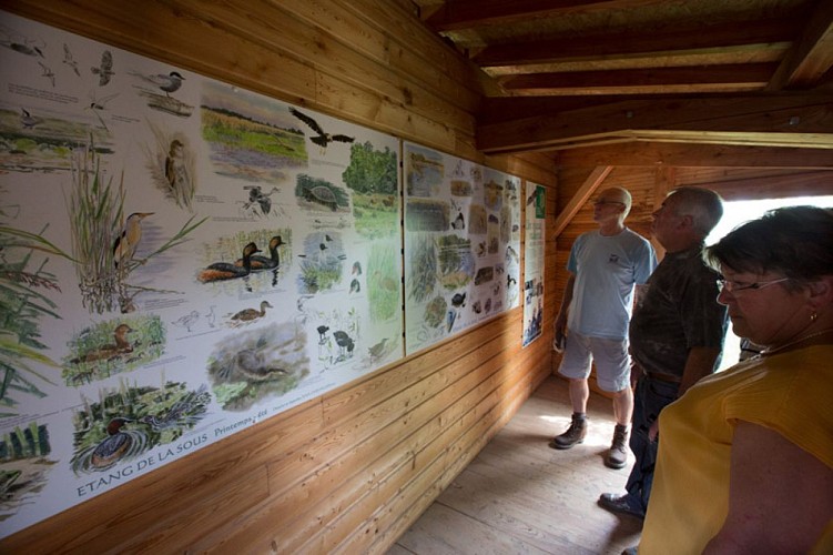 Saint-Cyran en Brenne - Dans l'observatoire de la Sous