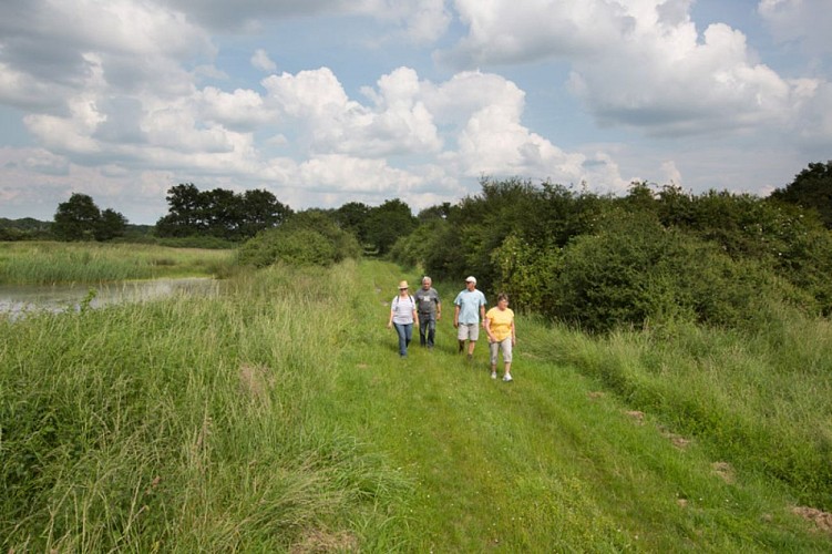 Saint-Cyran en Brenne - Sur les chemins