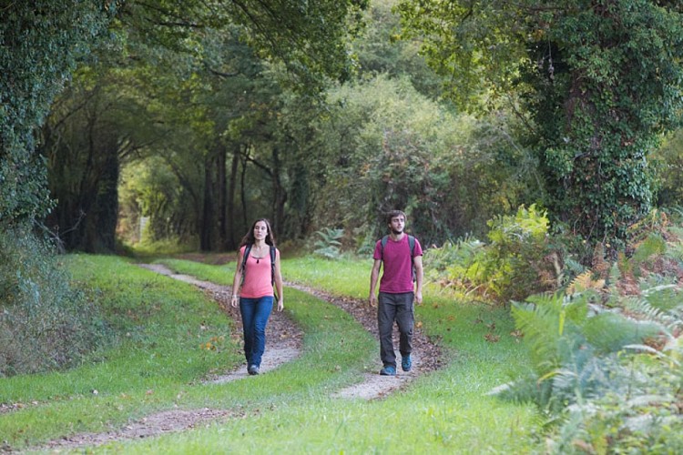 De l'étang aux mares de Ratz - Dans les chemins