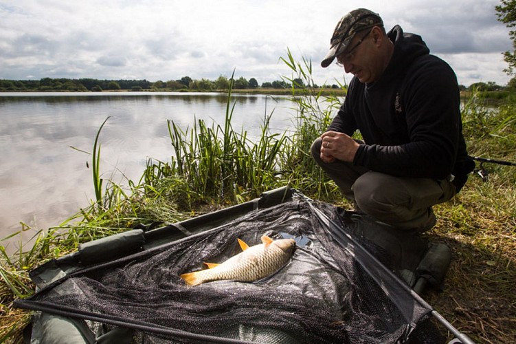 Plumages humides au creux de la roselière - Pêche à l'étang Duris
