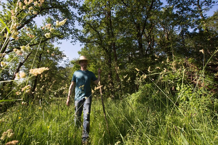 Loup y es-tu ? - Passage dans les hautes herbes