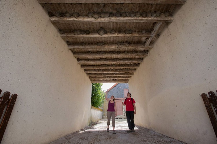 Le circuit des étangs Neuf - Dans le passage à la maison des hirondelles