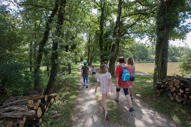 Le circuit des étangs Neuf - Chemin ombragé