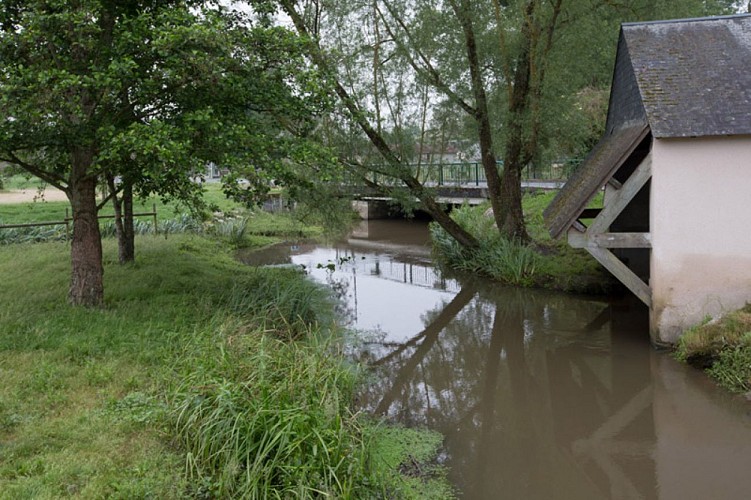 Aux portes de la Touraine - Le long de l'Aigronne