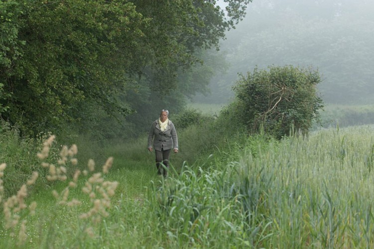 Aux portes de la Touraine - Par un matin brumeux