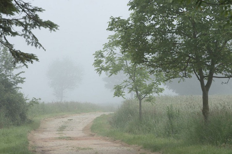 Aux portes de la Touraine - Par un matin brumeux
