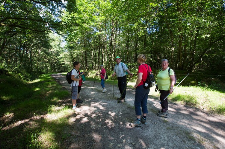Entre Brion et Creuse - Rencontre en chemin