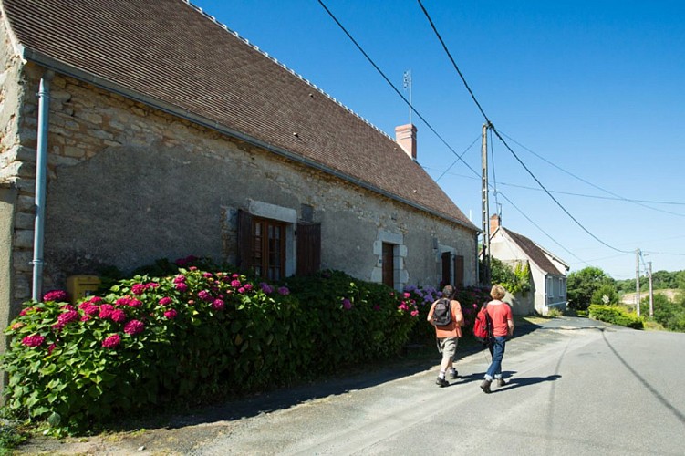 Tapis de fleurs par monts et par vaux - Par les Chézeaux