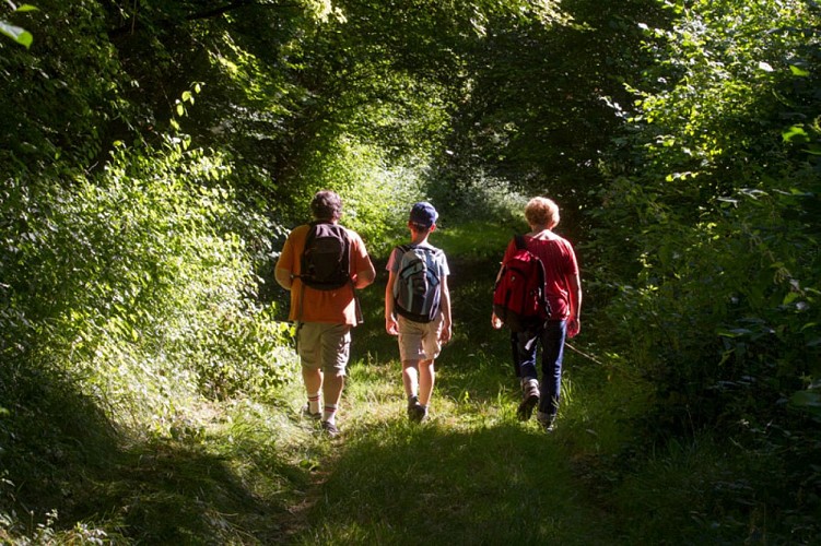 Tapis de fleurs par monts et par vaux - Sur le chemin
