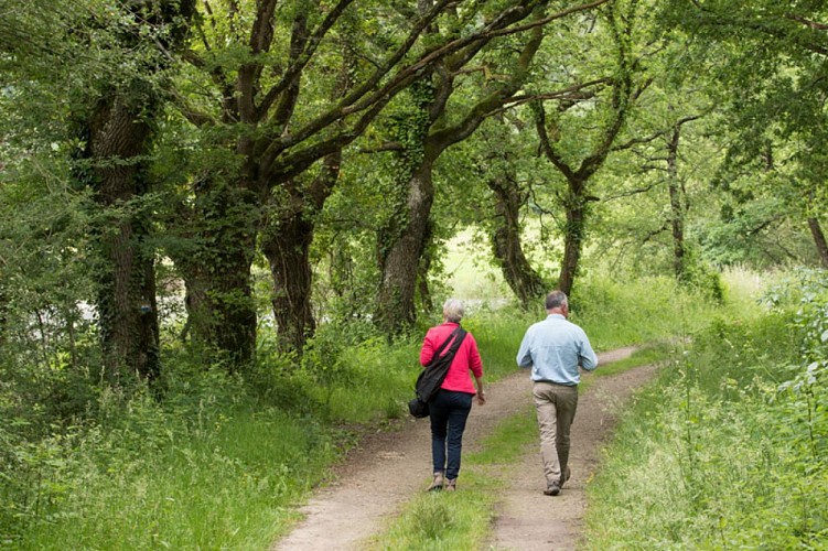 Sur les monts brennous - Dans les chemins
