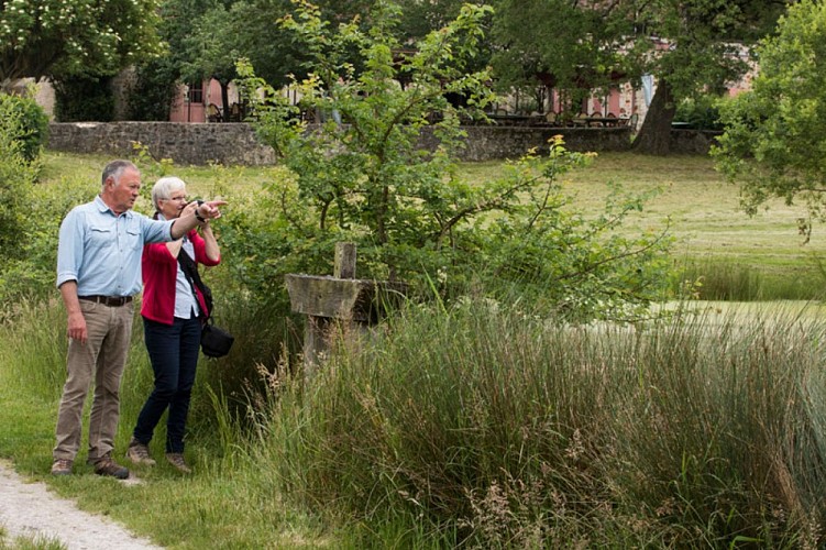 Sur les monts brennous - Pause en bord d'étang