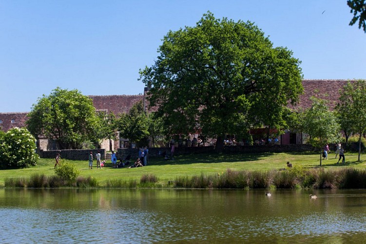 Sur les monts brennous