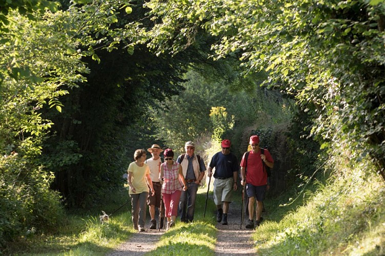 La fontaine de Saint-Aigny - Dans les chemins