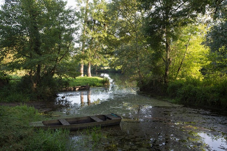 La fontaine de Saint-Aigny - Barque dans la Creuse à Saint-Aigny