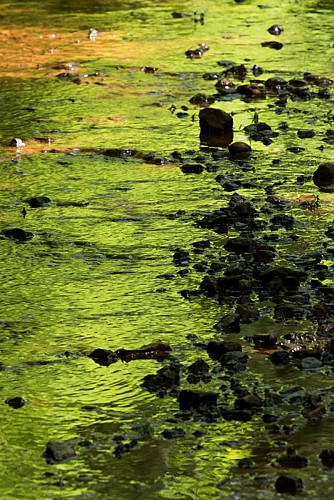 Le moulin de Saint-Civran - Jeu de lumière sur l'Abloux