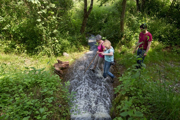 Le moulin de Saint-Civran - Trop plein du canal au moulin